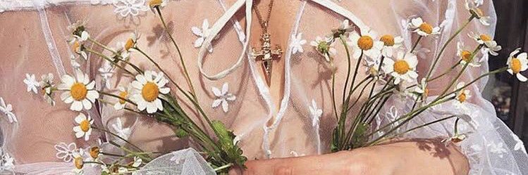 AmberlynnRod's profile banner image