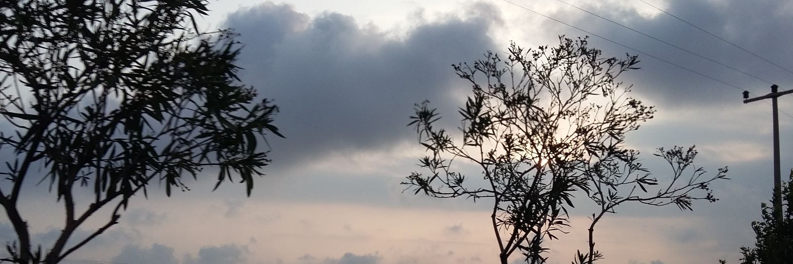 tgccamm's profile banner image