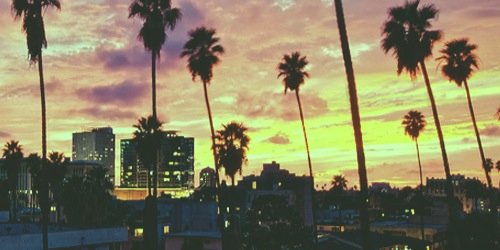 dallherman's profile banner image