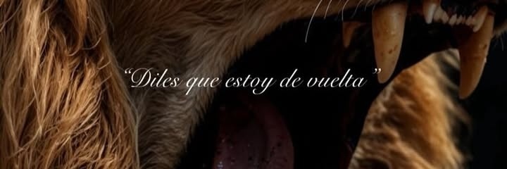 ToomiRoldan's profile banner image