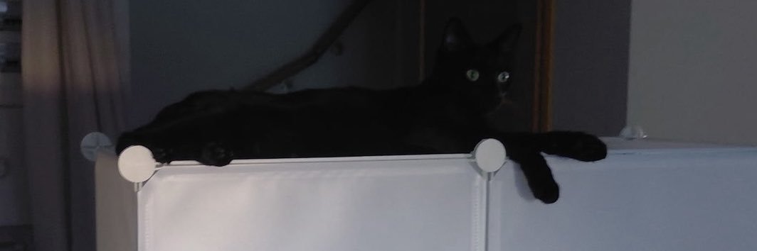 Trickeerr's profile banner image