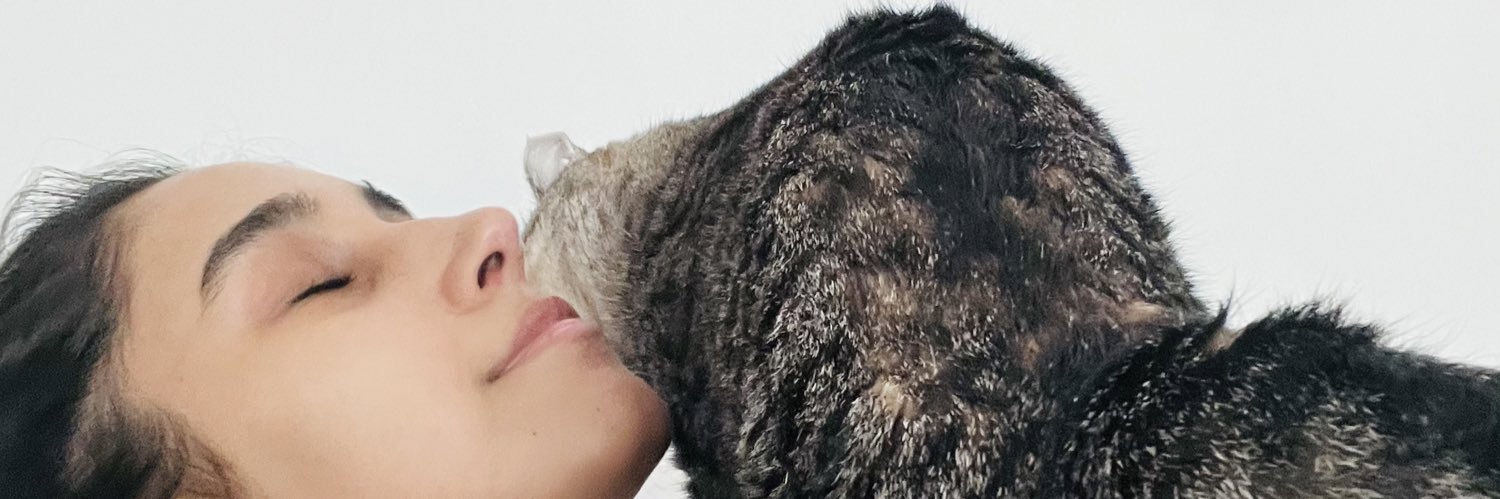 Romipedotti's profile banner image