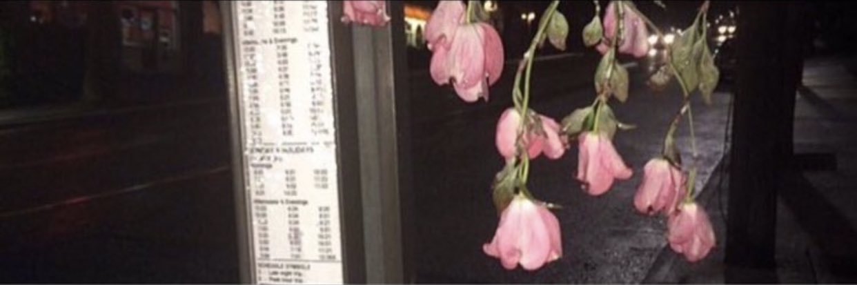 Flowers4074's profile banner image