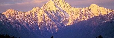 Barbara Hunter banner