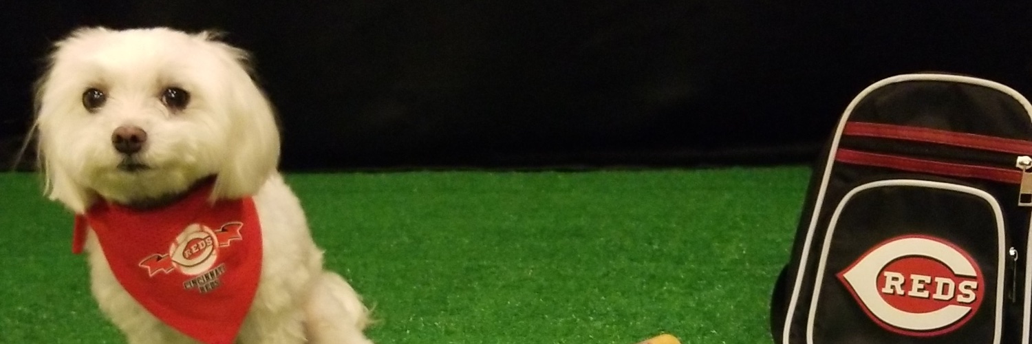 cheryseangel's profile banner image
