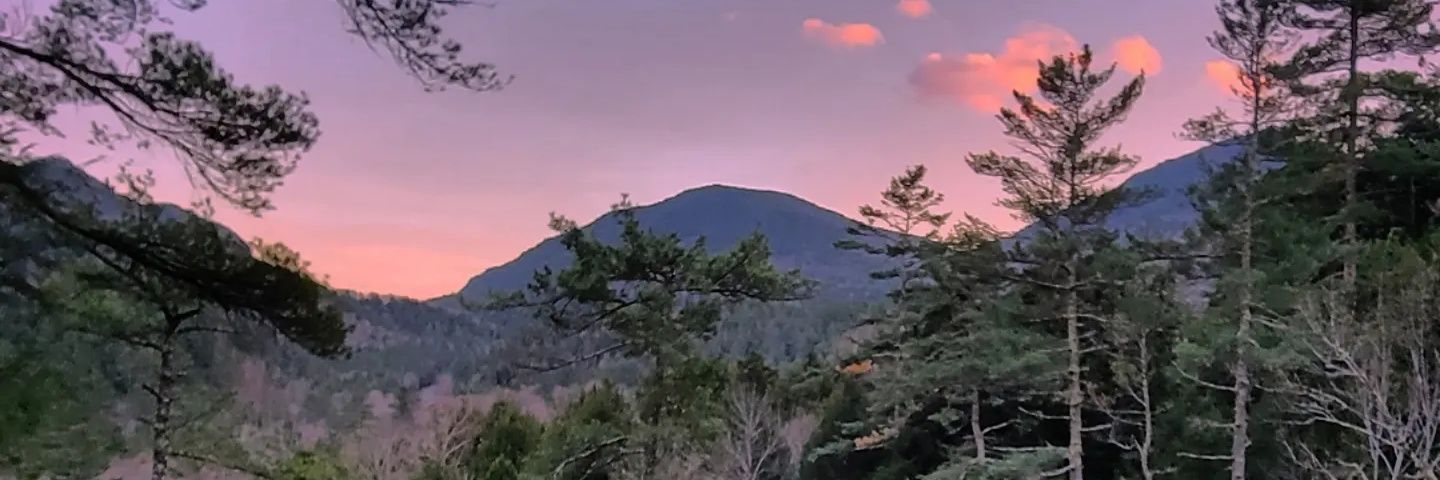 nvkxs's profile banner image