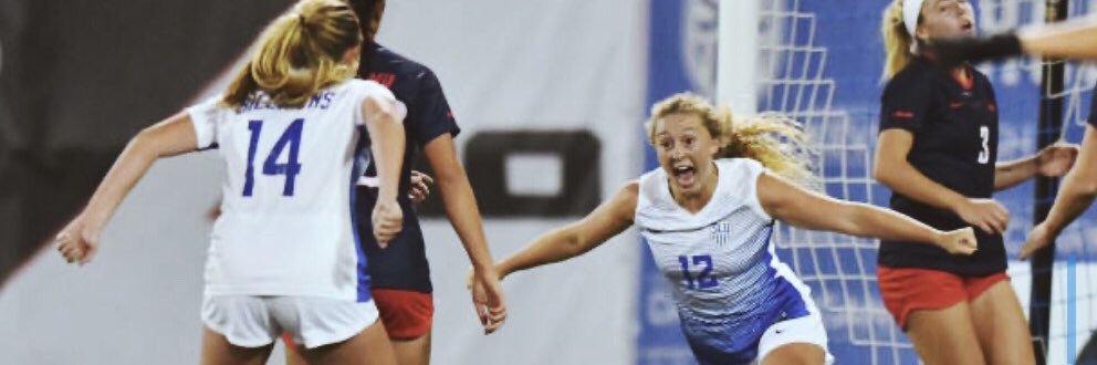 Brionna Halverson banner