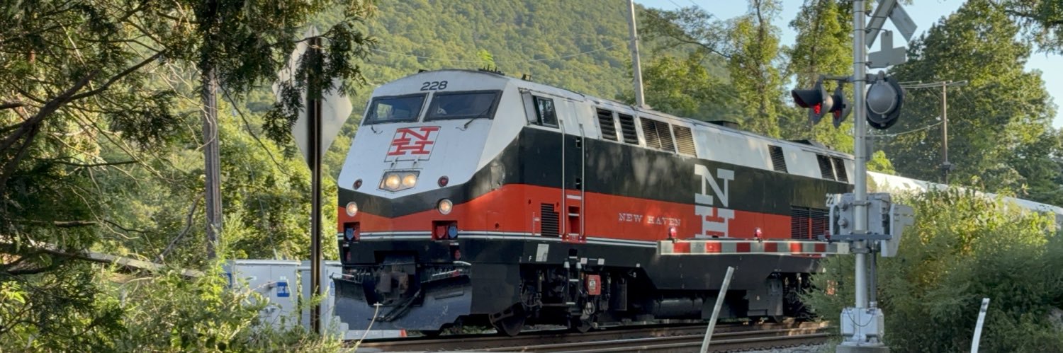 David of the Light banner