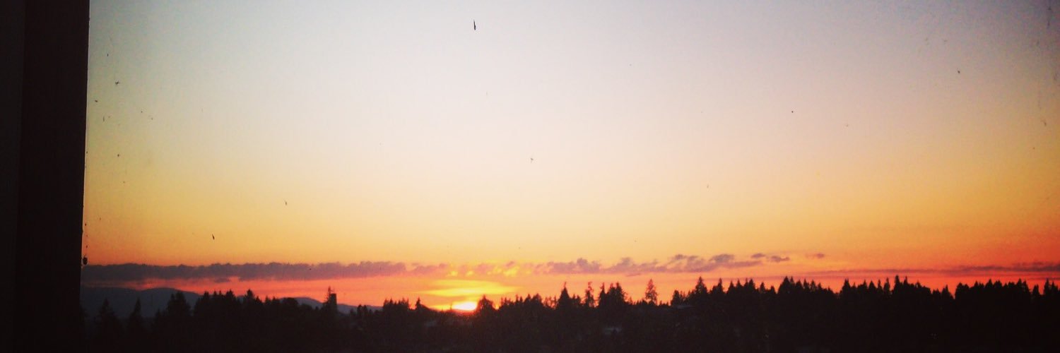 nancy_lin's profile banner image