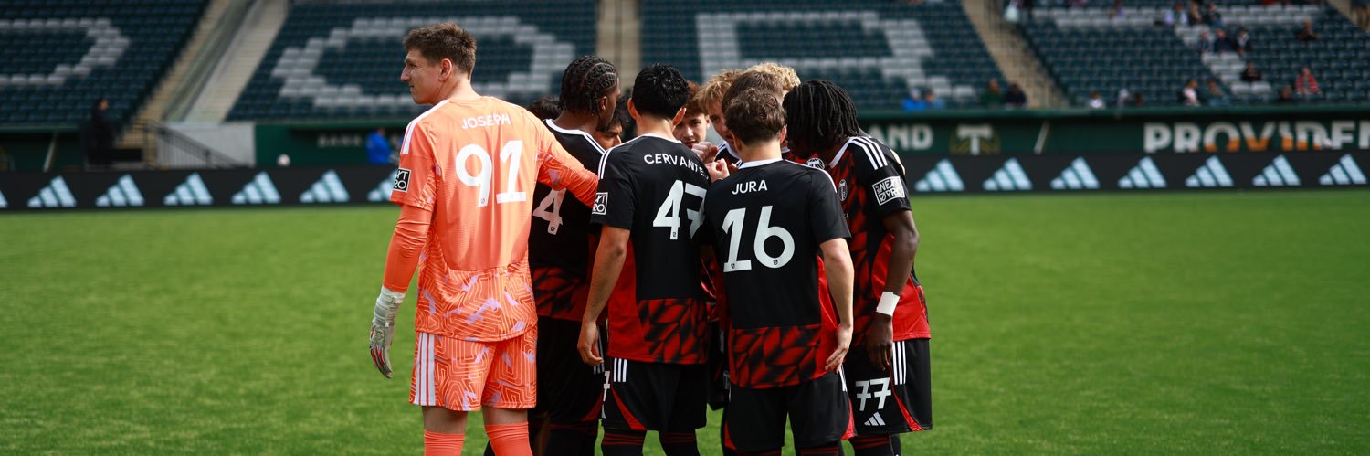 Portland Timbers2 banner