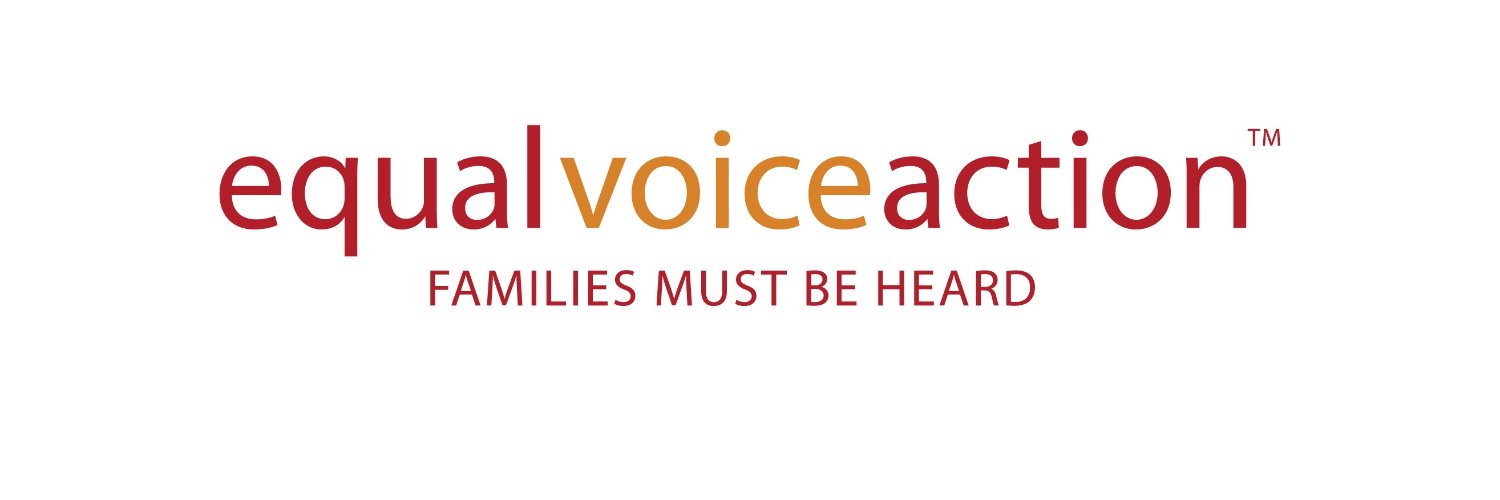 anEqualVoice's profile banner image