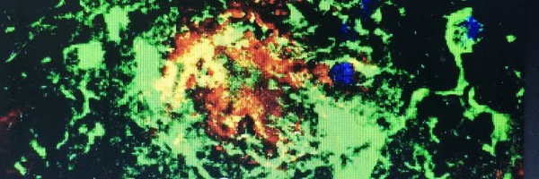 Jt8Teeling Profile Banner