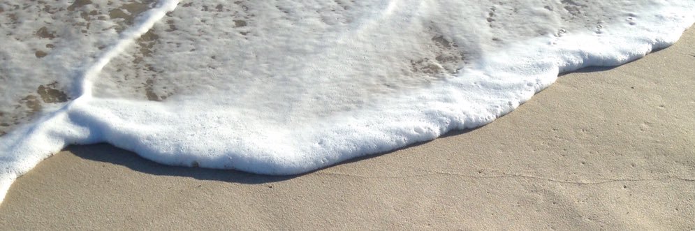 SonShineShells's profile banner image