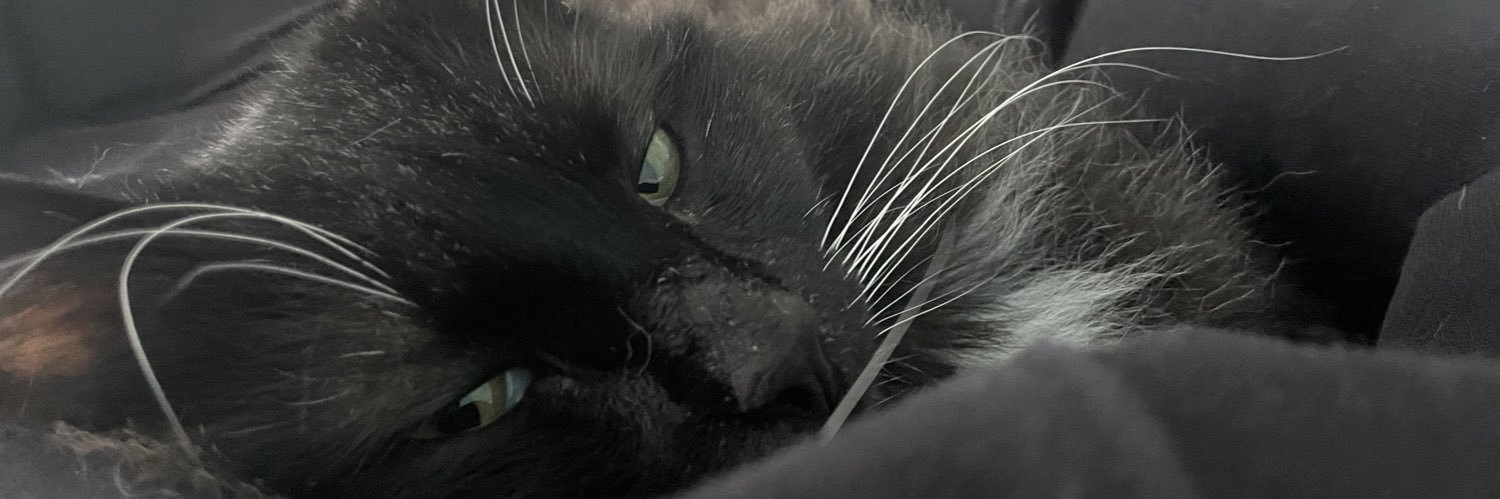 marchenkowsky's profile banner image