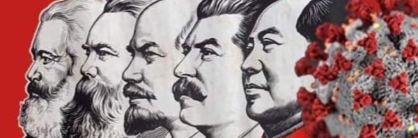 Kikasitsu Profile Banner