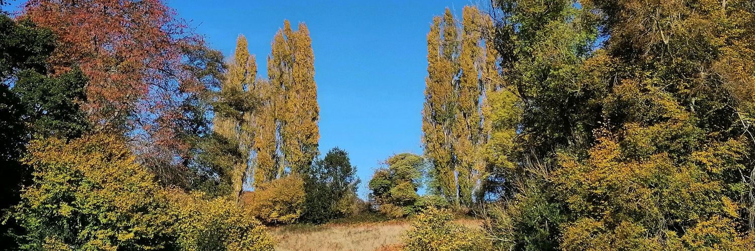 Charlotte Fearn 👂🏻🤝🏻🟣️🗣 banner