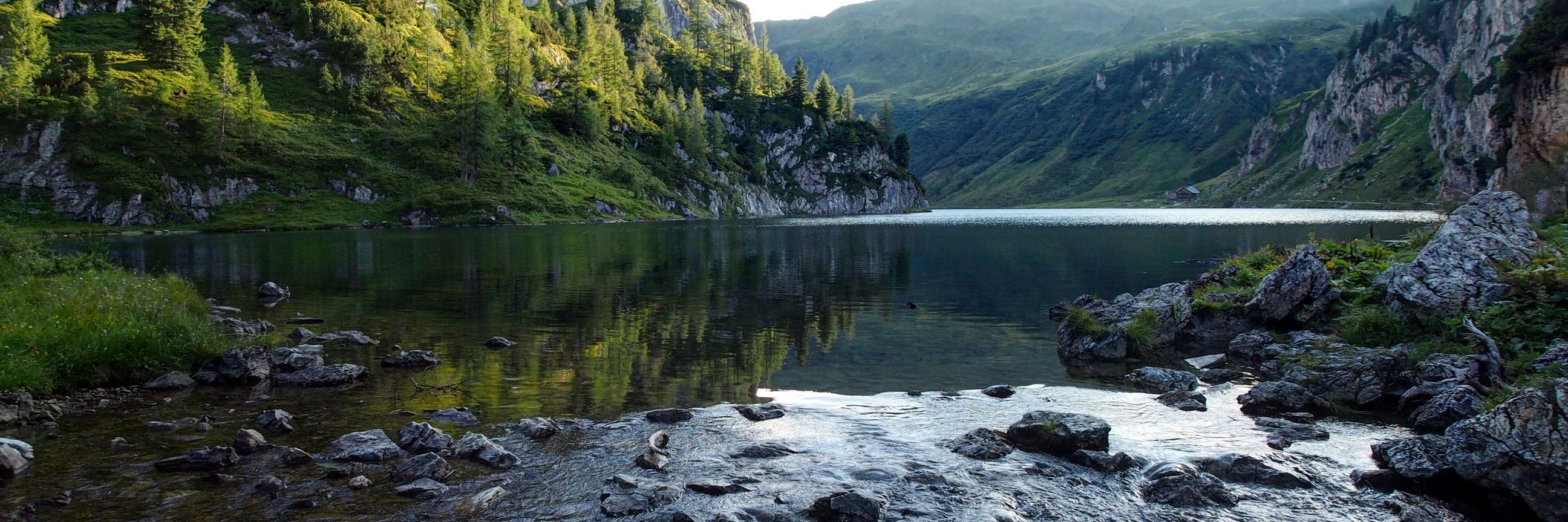 Sustainable Development & Revitalization (SDNR) banner