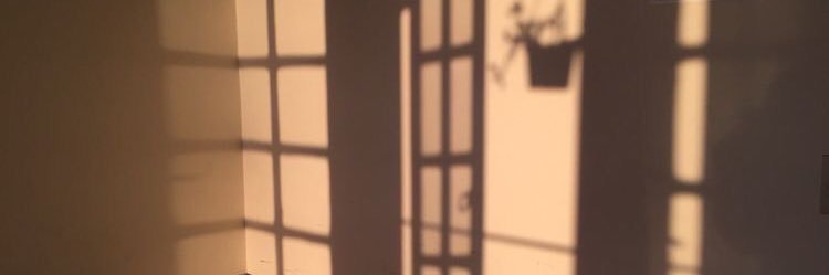 tranyent's profile banner image