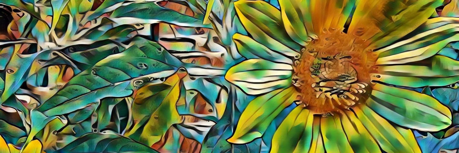 usavvy2's profile banner image