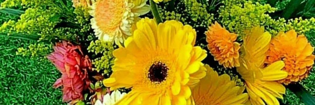 vinay6606's profile banner image