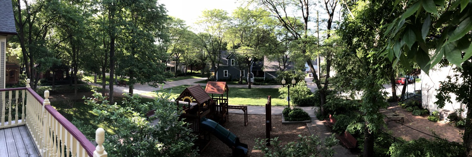 Rachel Widome banner