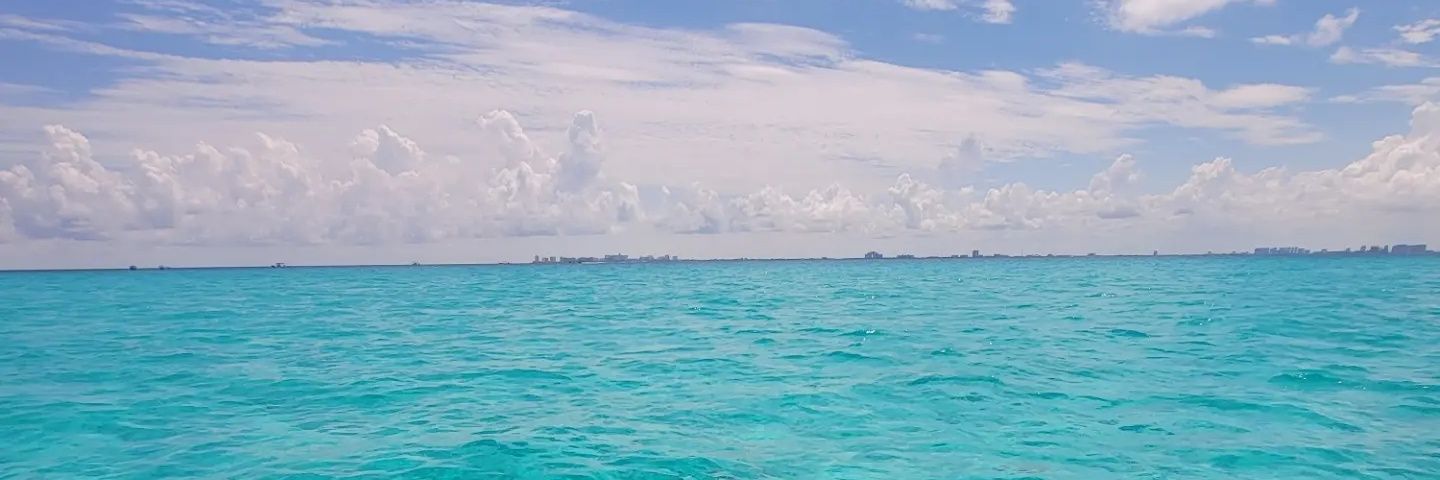 oscarduarte_16's profile banner image