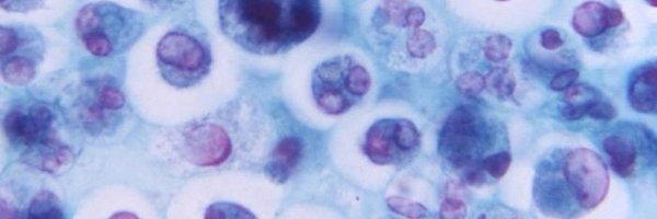 ImmunoDocs Profile Banner
