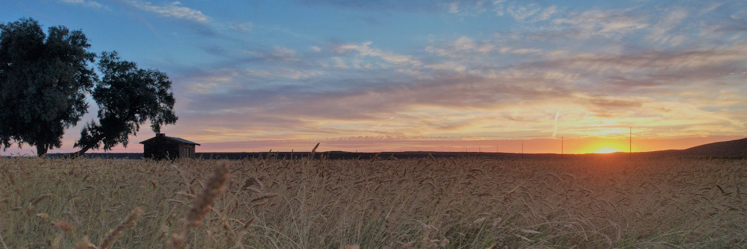 Dax Hansen banner