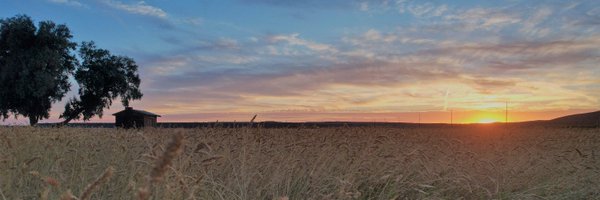 JDaxHansen Profile Banner