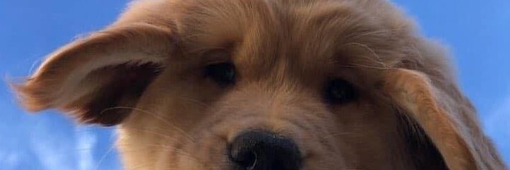 AnnetteRR's profile banner image