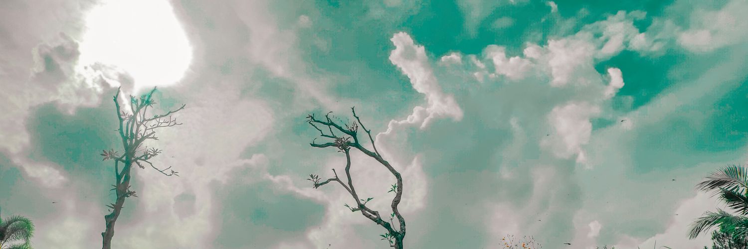 Mputrimndrf23's profile banner image