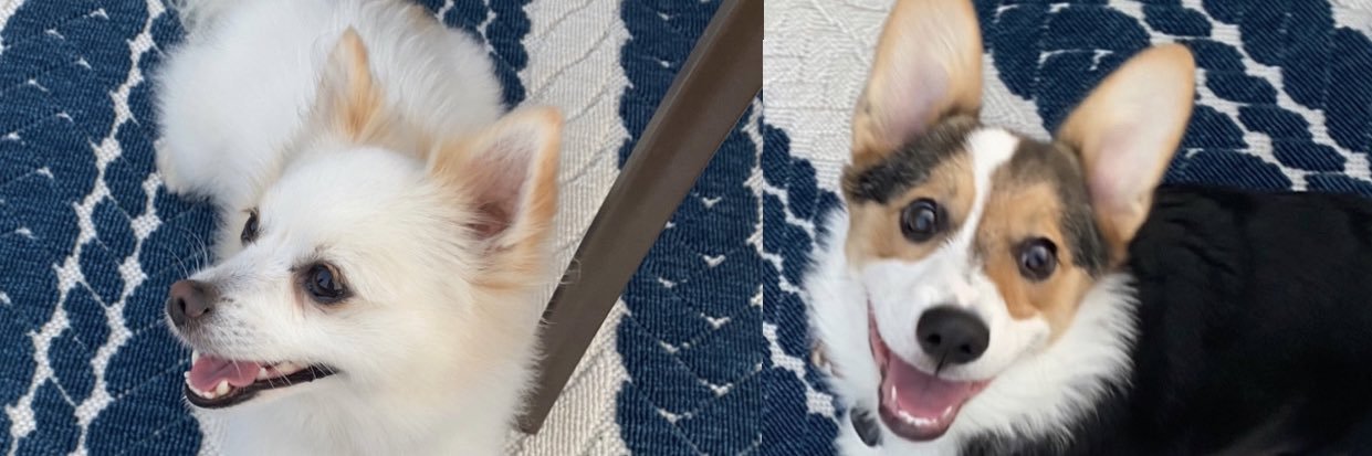 Chandynorrell's profile banner image