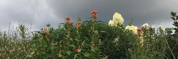 ayeeeitsbri's profile banner image