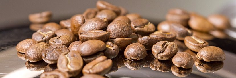 fazendacoffee's profile banner image