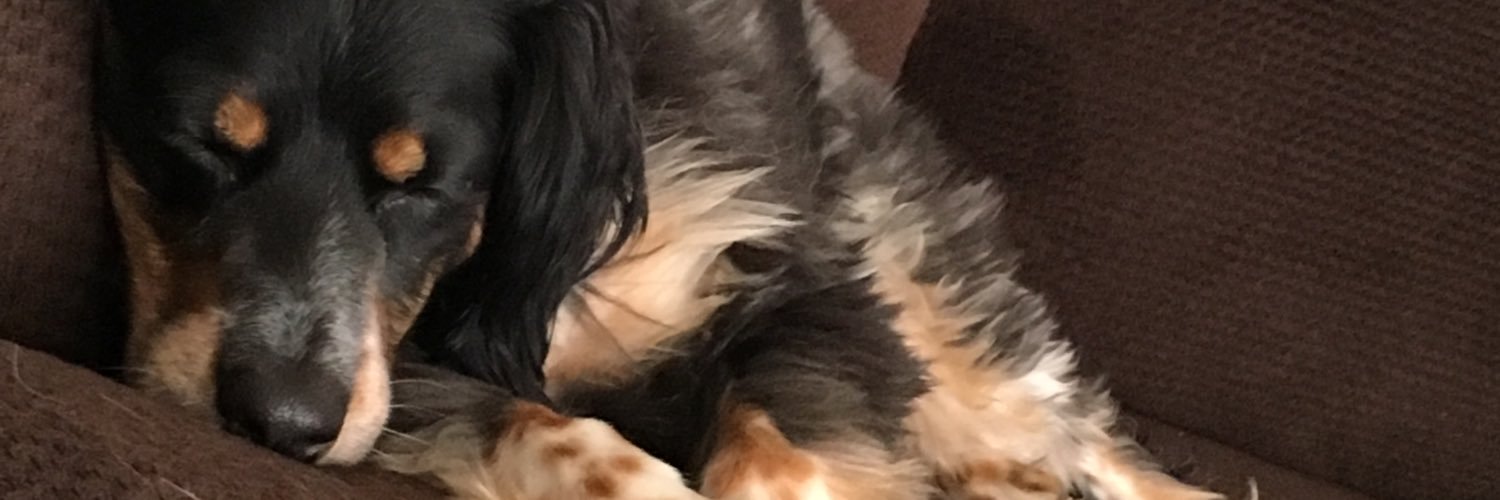 randellmendez's profile banner image