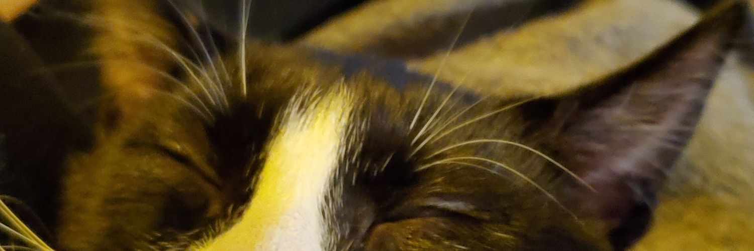 VincentYanda2's profile banner image