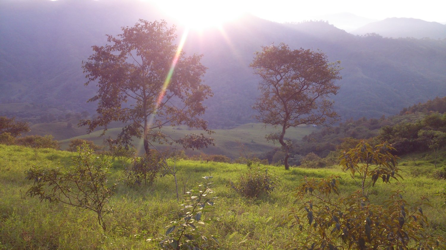 Rigo_St's profile banner image