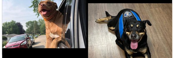 theayannaj Profile Banner