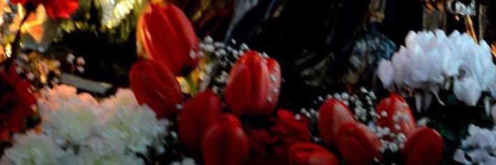 MisteriTrapani's profile banner image