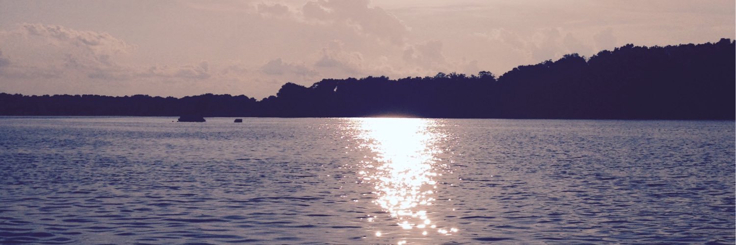 mstrish95's profile banner image