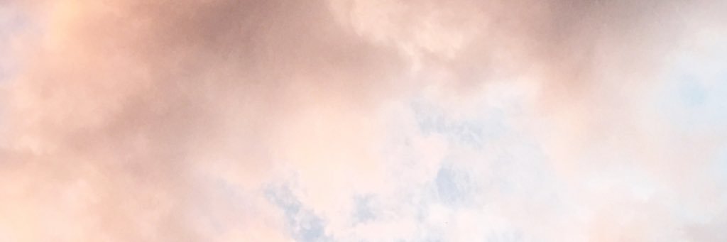katierosebud's profile banner image