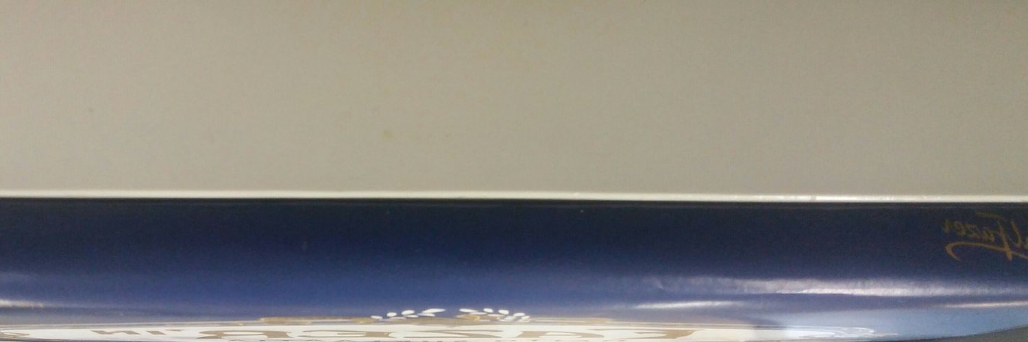 SandersNewDudes's profile banner image