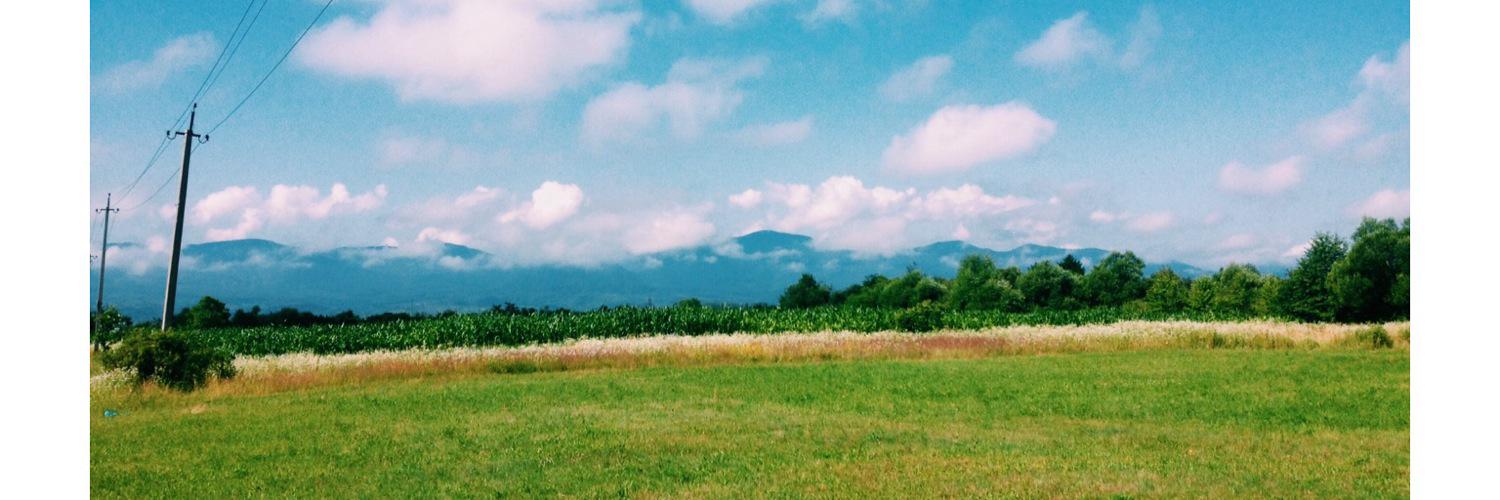 o_bonka's profile banner image
