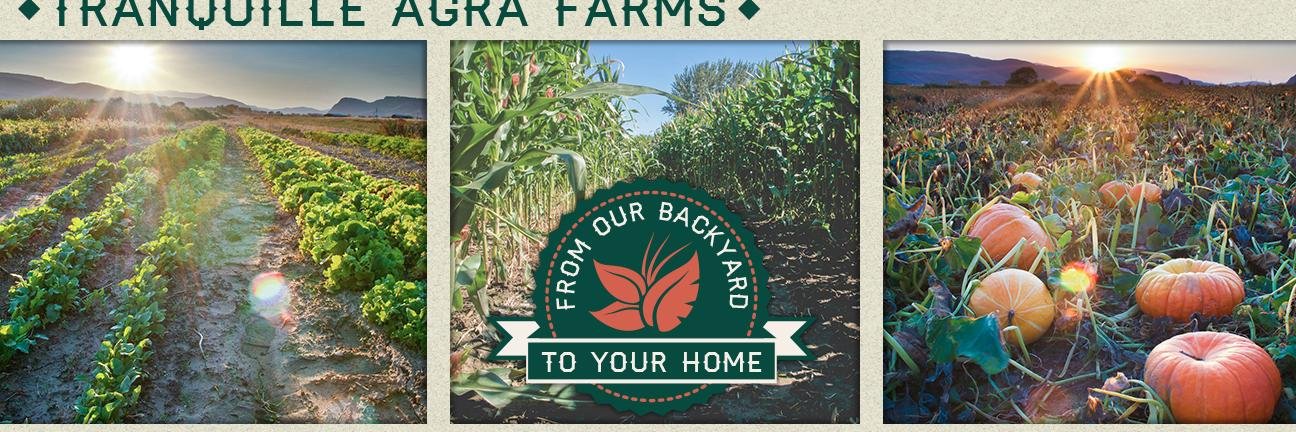 AgraFarms's profile banner image