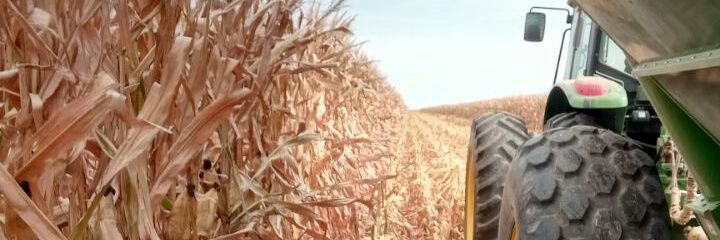 MartinPavani's profile banner image