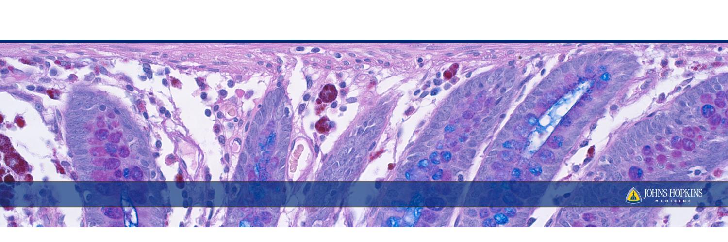 Hopkins GI Pathology banner