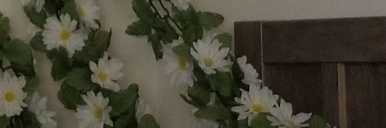 Lattiedeer's profile banner image