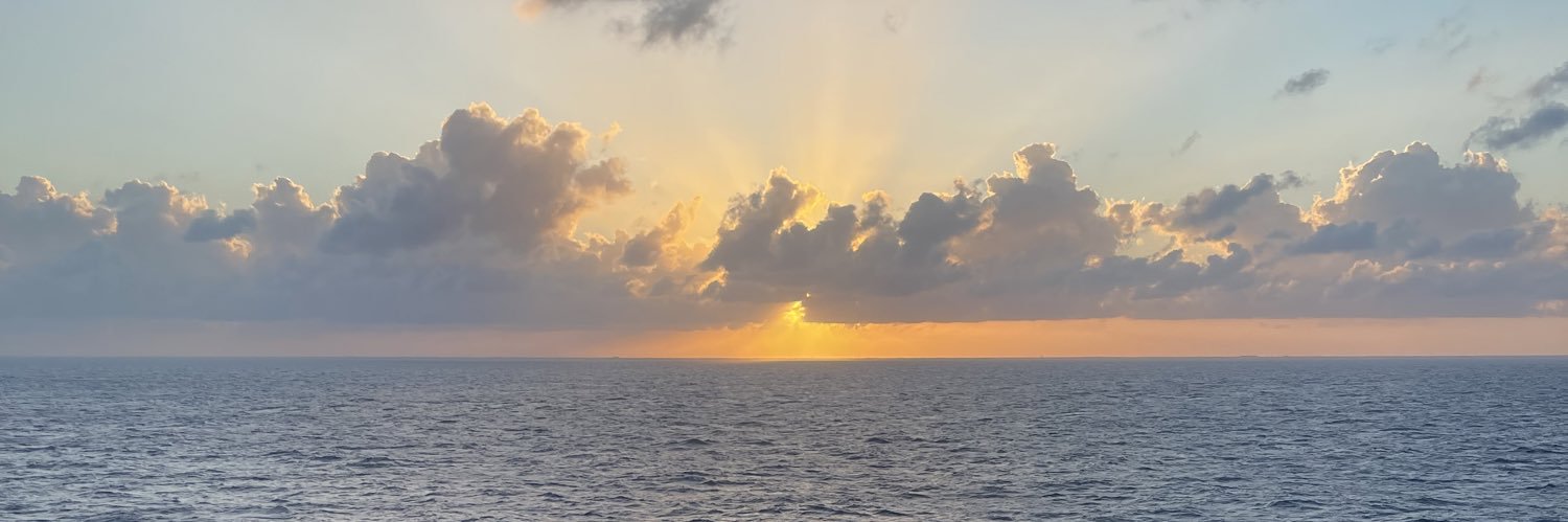 rachsofech's profile banner image