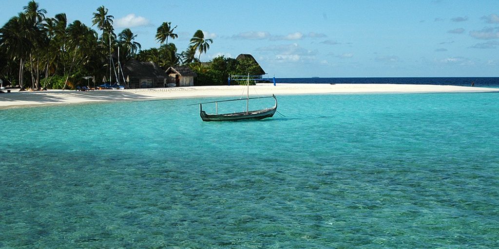 Asanka Migelheva banner