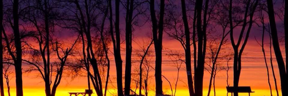 ErinCleary2012's profile banner image